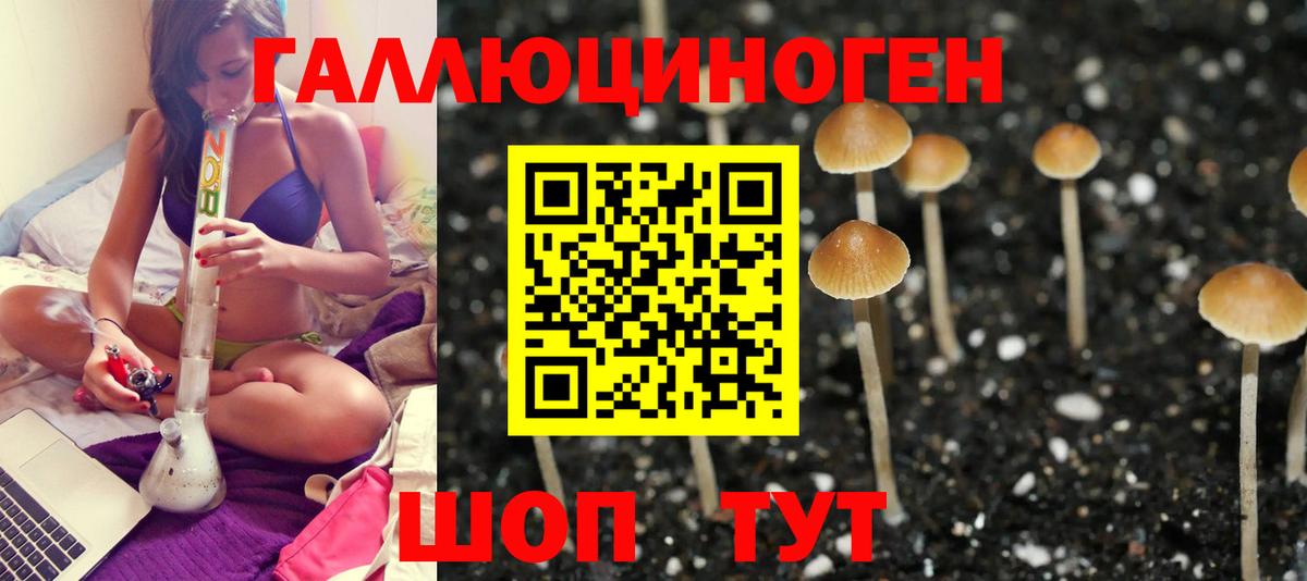 Галлюциногенные грибы Psilocybine cubensis  сколько стоит  Рубцовск  Галлюциногенные грибы GOLDEN TEACHER  Вход с VPN 