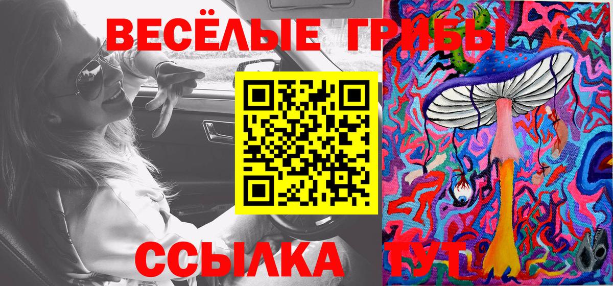 Псилоцибиновые грибы Psilocybe Рубцовск